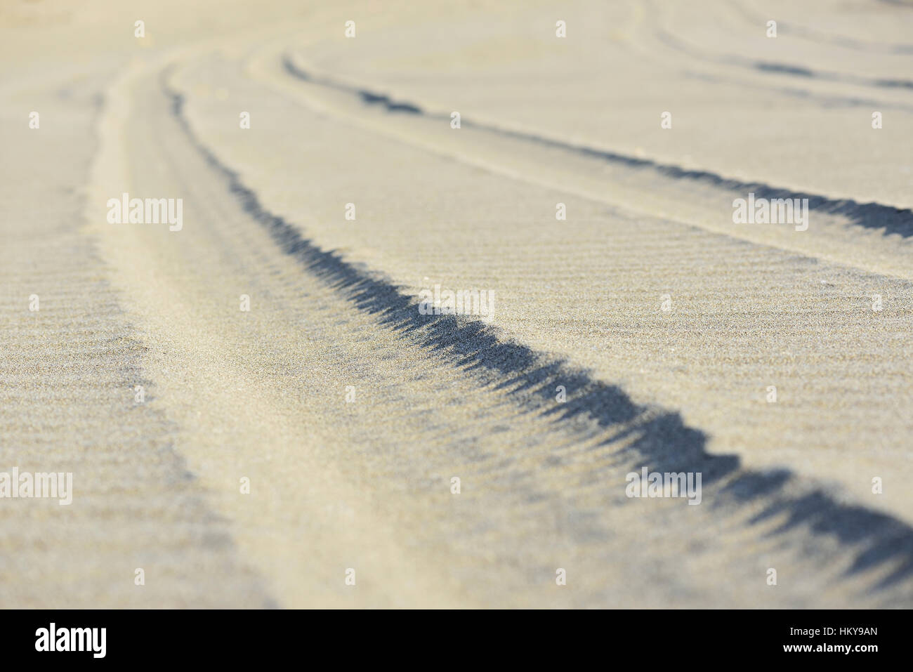 Trace de voiture roues sur le sable de la plage pendant le coucher du soleil Banque D'Images