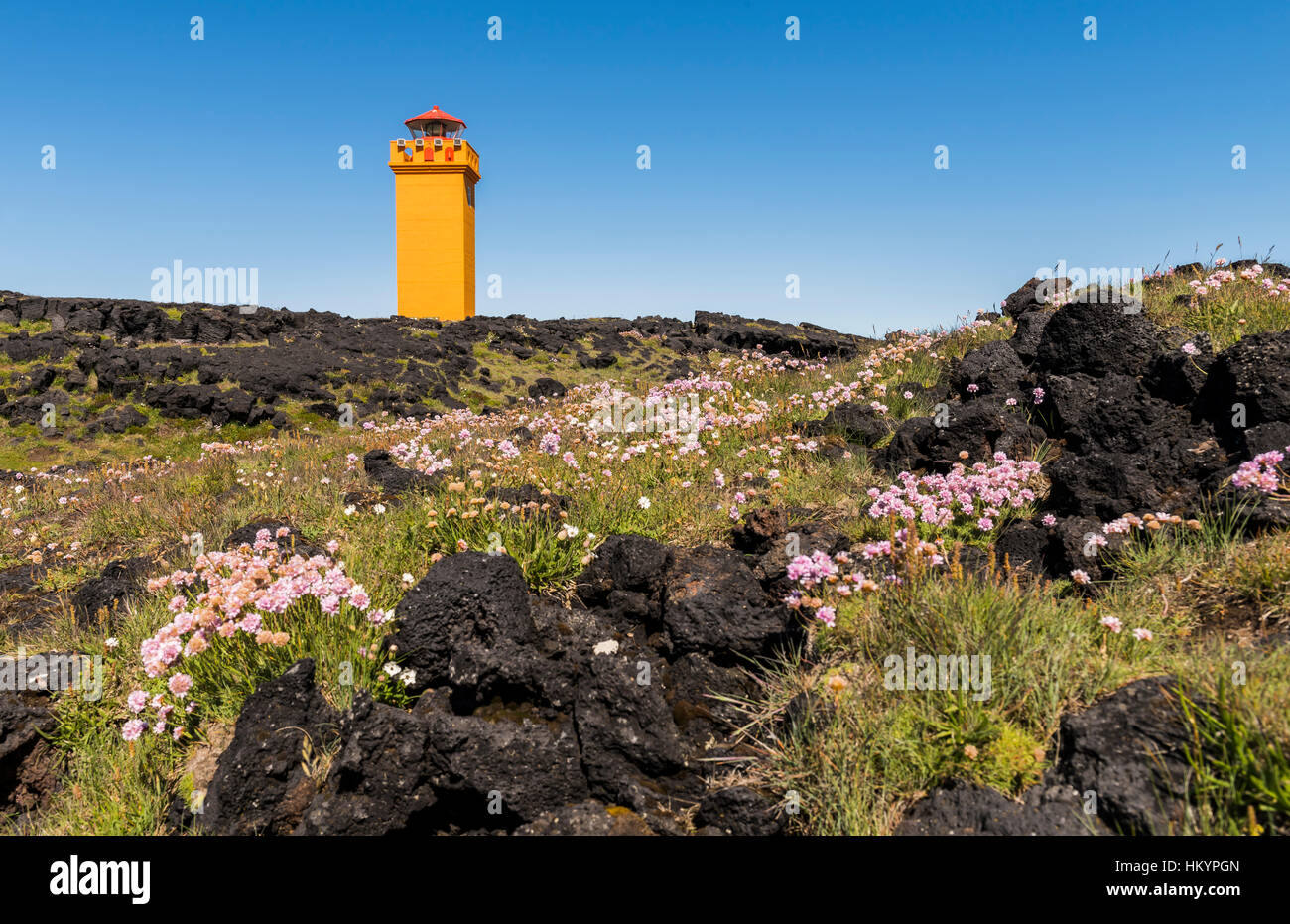 Phare de Svortuloft orange avec des fleurs et des rochers noirs sur l'Islande. Banque D'Images