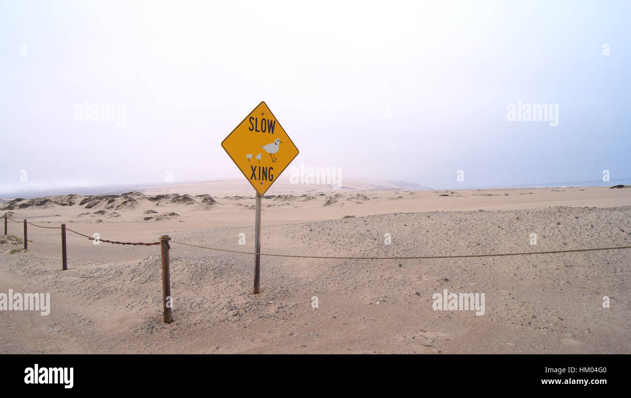 Guadalupe-Nipomo Dunes, California, UNITED STATES - Oct 8, 2014 : Dunes de sable et une rue à l'intérieur du parc national dans la région de Ca le long de la route No 1, USA. Banque D'Images