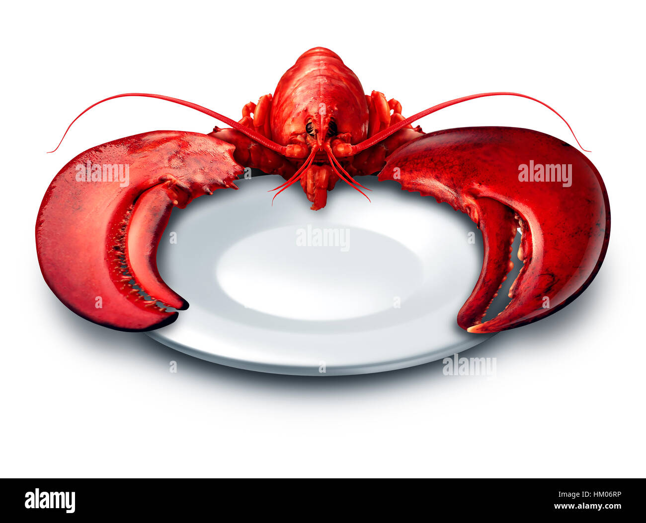 La plaque du homard le dîner sur un fond blanc que des fruits de mer ou crustacés de la nourriture sur un plat comme un luxe repas cher concept comme elle rouge complète Banque D'Images