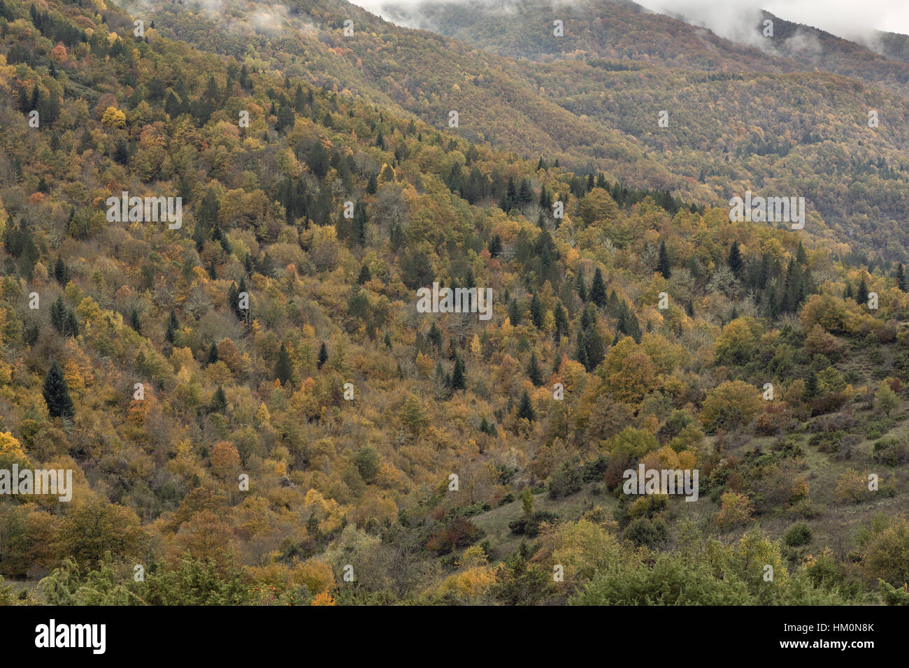 L'automne dans le nord des montagnes Pindos, au sud de Nestorio, au nord-ouest de la Grèce. Banque D'Images