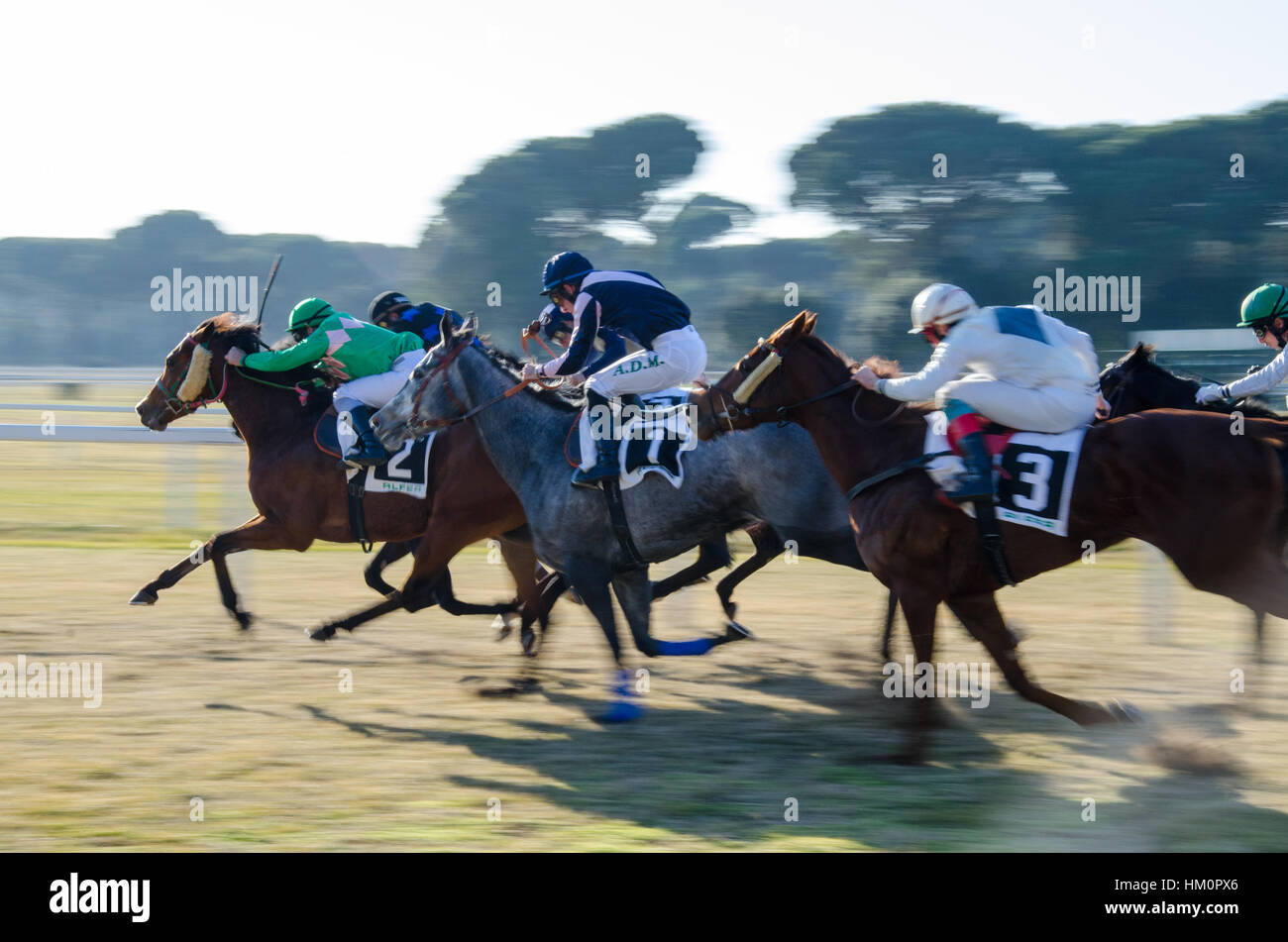 Course de chevaux à Pise, Italie Banque D'Images