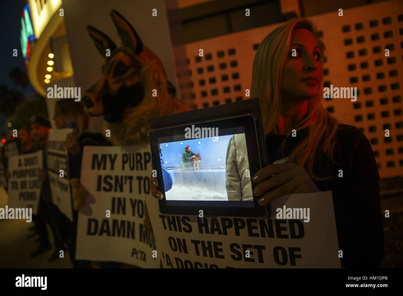 Hollywood, CA, USA. 27 Jan, 2017. Les gens ont des signes au cours d'une protestation PETA du film ''un chien au but'' en face de l'ArcLight Theatre le Vendredi, 27 janvier 2017 à Hollywood, Californie, PETA a appelé à un boycott du film tiré de la violence envers les animaux après une vidéo diffusé par le TMZ a montré une German Shepard d'être contraints à un pool d'eau turbulente. © 2017 Patrick T. Fallon - Restrictions : * LA, OC, Ventura, Riverside, San Diego Les journaux de la région et des droits TV OUT Crédit : Patrick Fallon/ZUMA/Alamy Fil Live News Banque D'Images