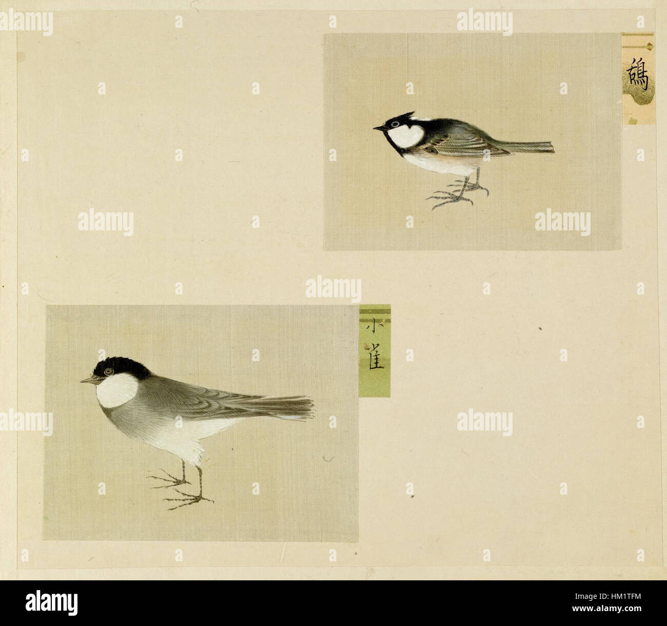 Cette œuvre d'art japonaise, intitulée « feuille de l'album représentant de petits oiseaux », est un exemple exquis de peinture japonaise traditionnelle, illustrant de petits oiseaux délicats avec un pinceau fin et des couleurs vives. Banque D'Images