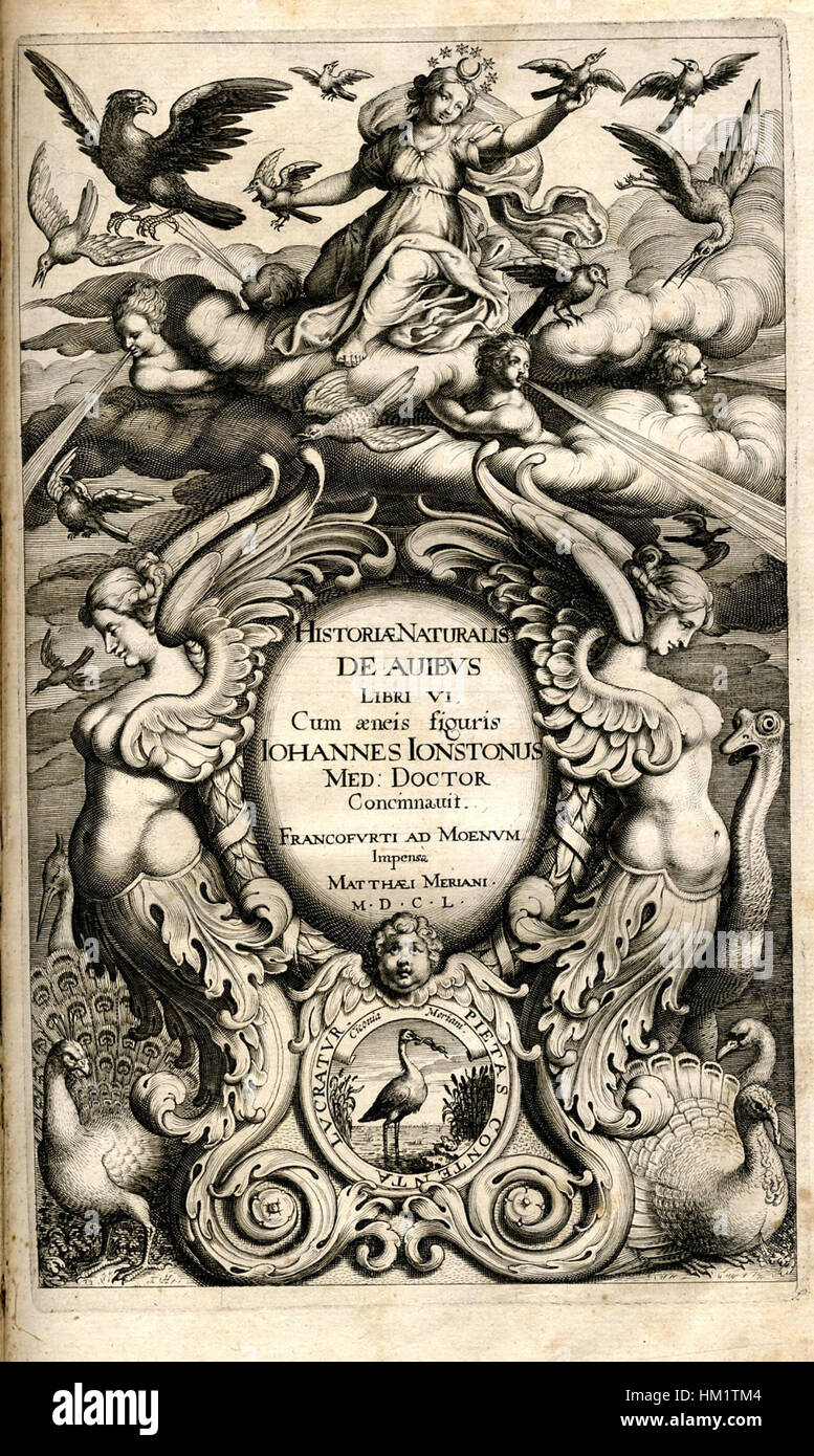 Une page tirée de de de Avibus de Johnston, un ouvrage ornithologique détaillant les espèces d'oiseaux avec des illustrations scientifiques de la vie aviaire, publié au XVIIe siècle. Banque D'Images