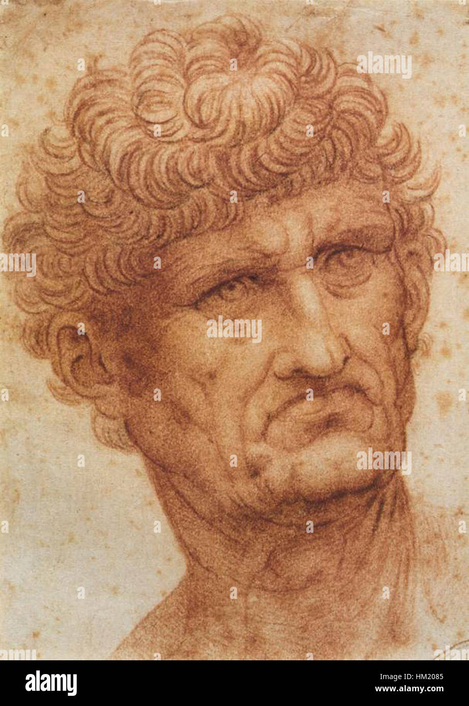 Cette étude de Léonard de Vinci, « Head of a Man », démontre sa maîtrise de la capture de l'expression humaine et de l'anatomie. Connu pour ses esquisses détaillées et ses études de la forme humaine, ce dessin met en évidence l’intérêt de da Vinci pour la complexité des traits du visage et de l’expression émotionnelle. Banque D'Images
