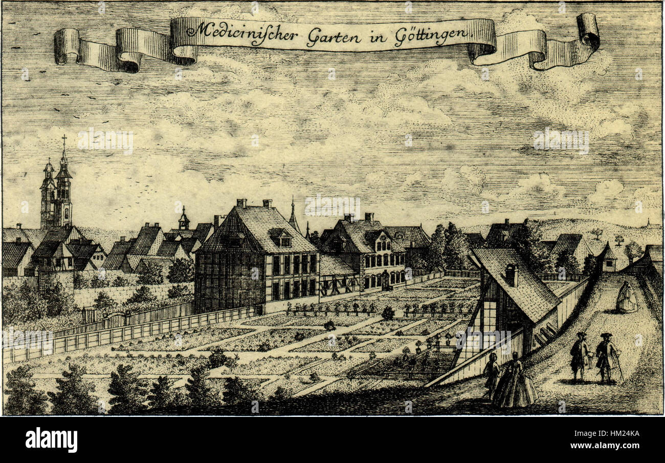 L'Alter Botanischer Garten de Göttingen, en Allemagne, est un jardin botanique historique connu pour sa riche collection de plantes et son rôle dans la recherche scientifique. Fondée au XVIIIe siècle, elle présente une variété d'espèces végétales et sert de lieu clé pour les études botaniques et l'éducation du public sur la flore. Banque D'Images