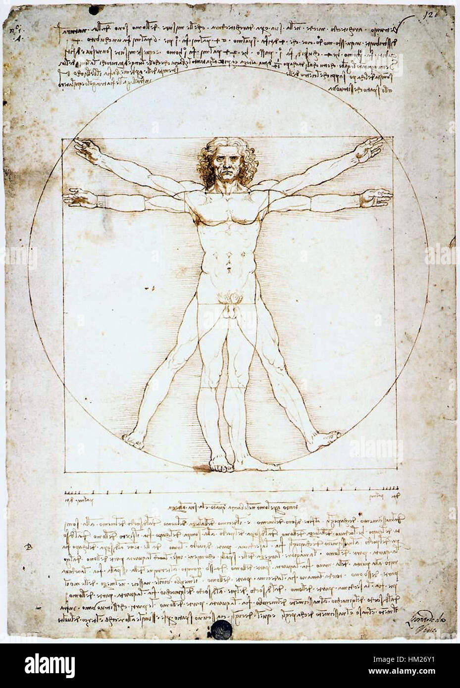 *Homme Vitruvien* de Léonard de Vinci est un dessin célèbre qui démontre les proportions humaines idéales selon les principes de Vitruve. C'est une pierre angulaire de l'art de la Renaissance, mettant en valeur le lien entre l'art et la science. Banque D'Images