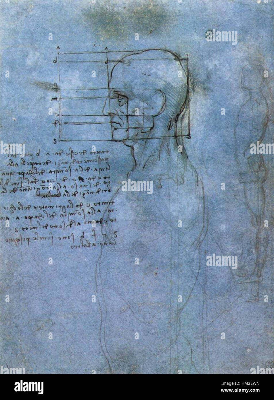 « Study of Man proportion » de Léonard de Vinci est un dessin renommé illustrant les proportions idéales du corps humain basées sur des principes géométriques. Cette étude, l’une de ses œuvres les plus célèbres, reflète la profonde compréhension de da Vinci de l’anatomie, des mathématiques et des mécanismes Le dessin reste une pierre angulaire de l'histoire de l'art et de la science. Banque D'Images