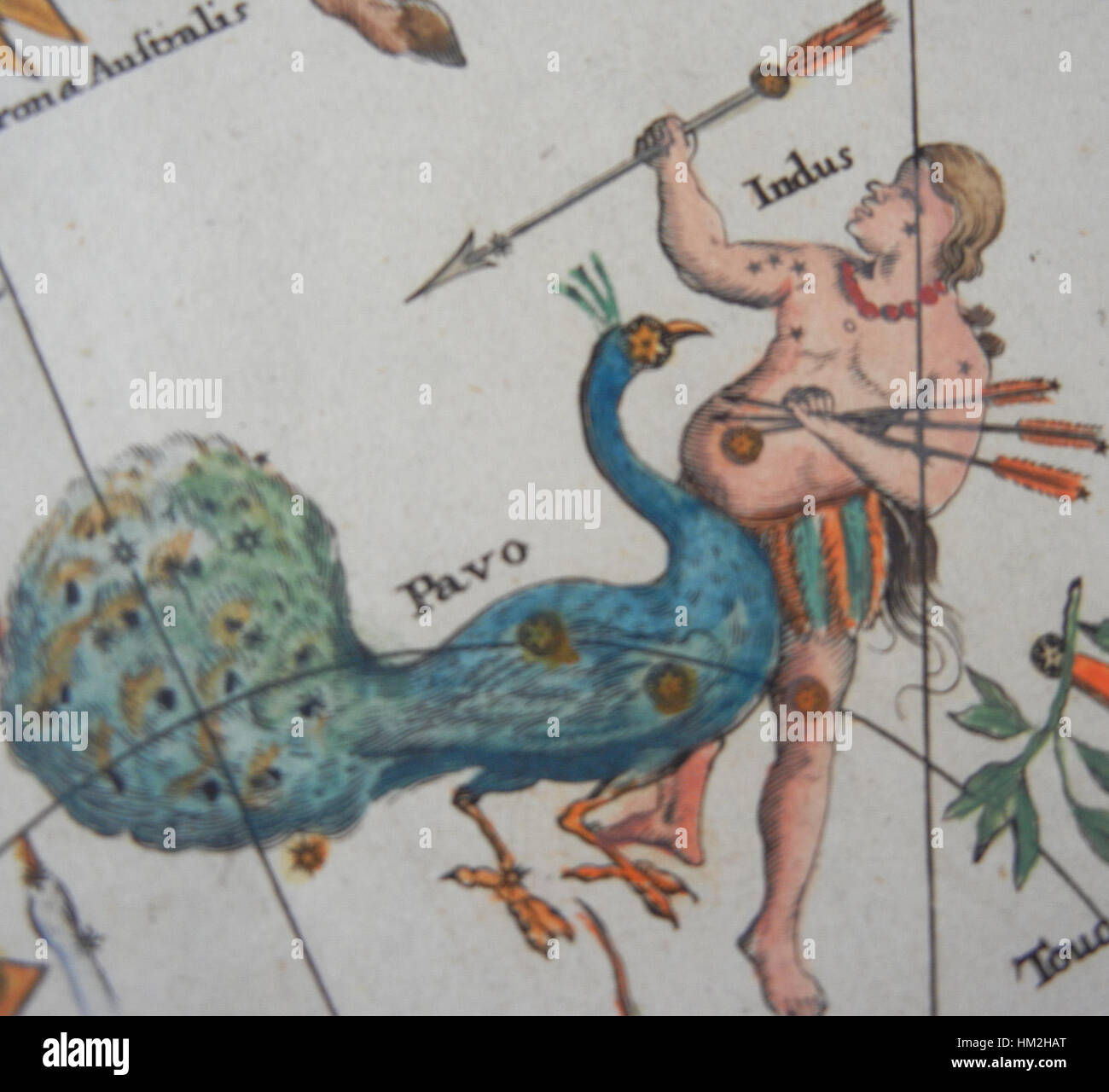 Cette carte céleste de *Johan Doppelmayr* représente les constellations Pavo et Indus, montrant les premières cartographies astronomiques du XVIIIe siècle. La carte comprend des représentations détaillées de ces constellations méridionales. Banque D'Images