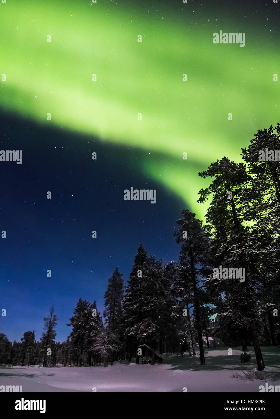 Northern Lights dans le parc national Urho Kekkonen, Finlande Banque D'Images