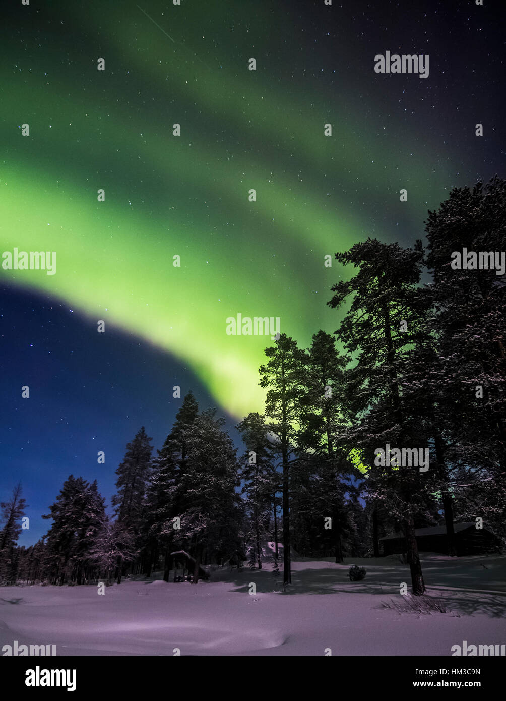 Northern Lights dans le parc national Urho Kekkonen, Finlande Banque D'Images