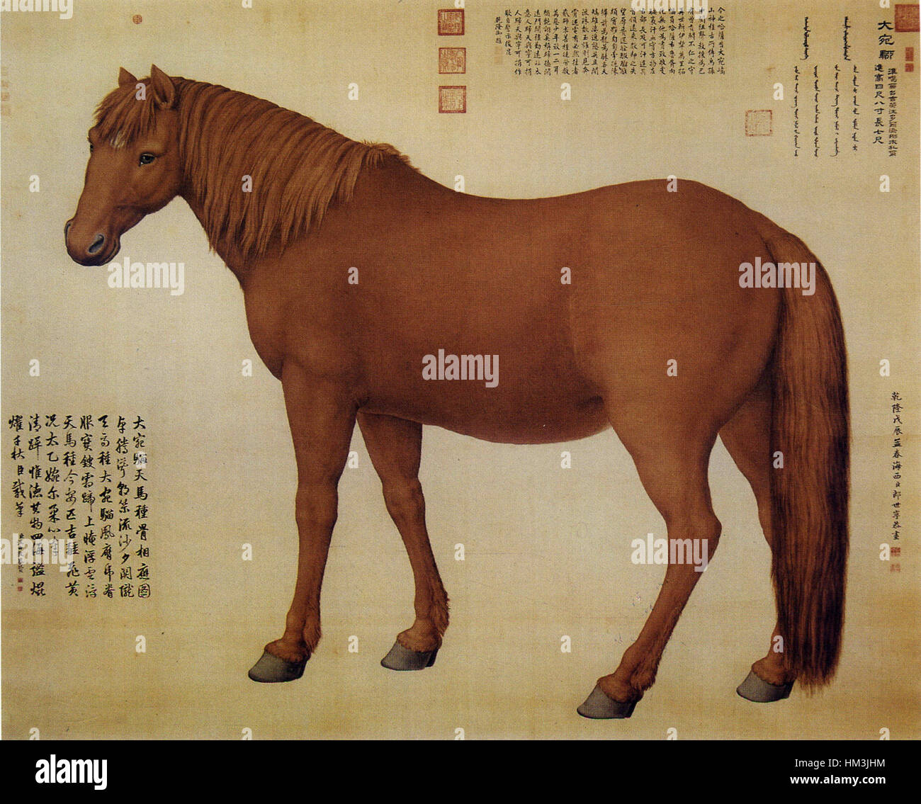 Cheval Dawanliu Banque D'Images