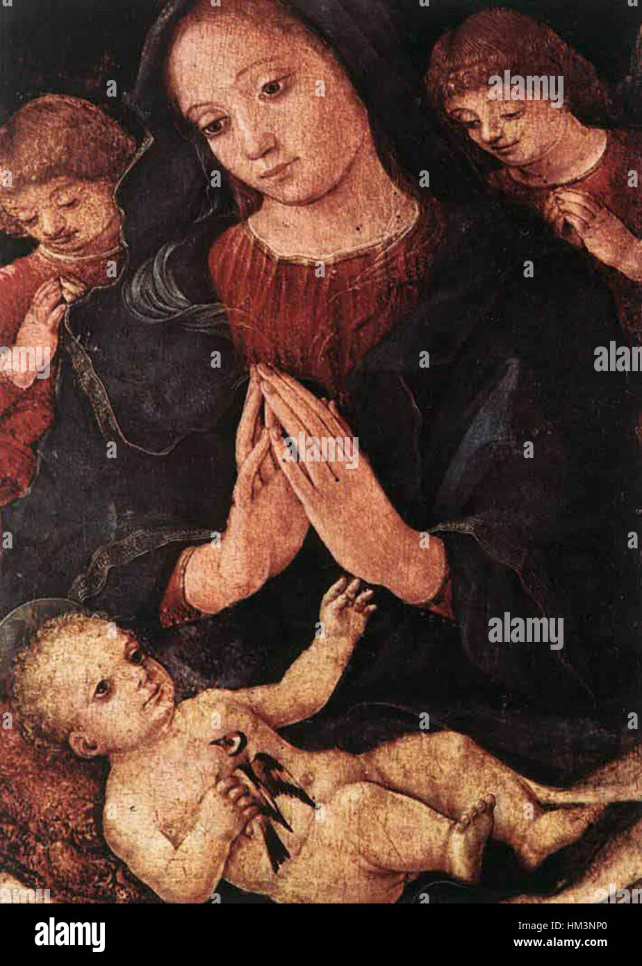 'Madonna del Cardellino' de Liberale da Verona représente la Vierge Marie tenant un petit oiseau, symbolisant la paix et l'innocence. L’œuvre reflète l’accent mis par la Renaissance sur les thèmes religieux et le symbolisme. Banque D'Images 'Madonna del Cardellino' de Liberale da Verona représente la Vierge Marie tenant un petit oiseau, symbolisant la paix et l'innocence. L’œuvre reflète l’accent mis par la Renaissance sur les thèmes religieux et le symbolisme. Banque D'Images