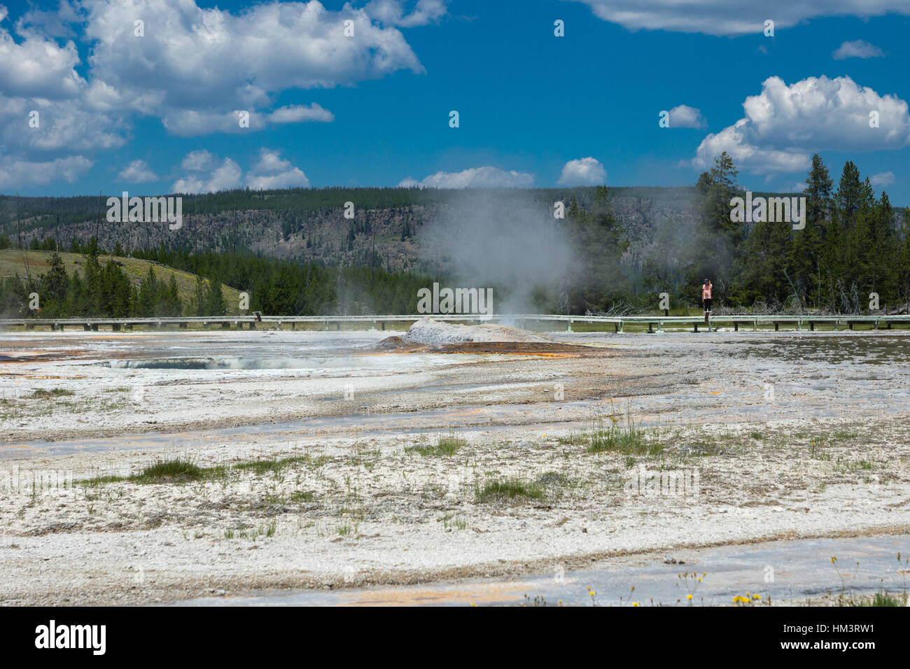 Daisy Geyser, Upper Geyser Basin, Parc National de Yellowstone, Wyoming, USA Banque D'Images