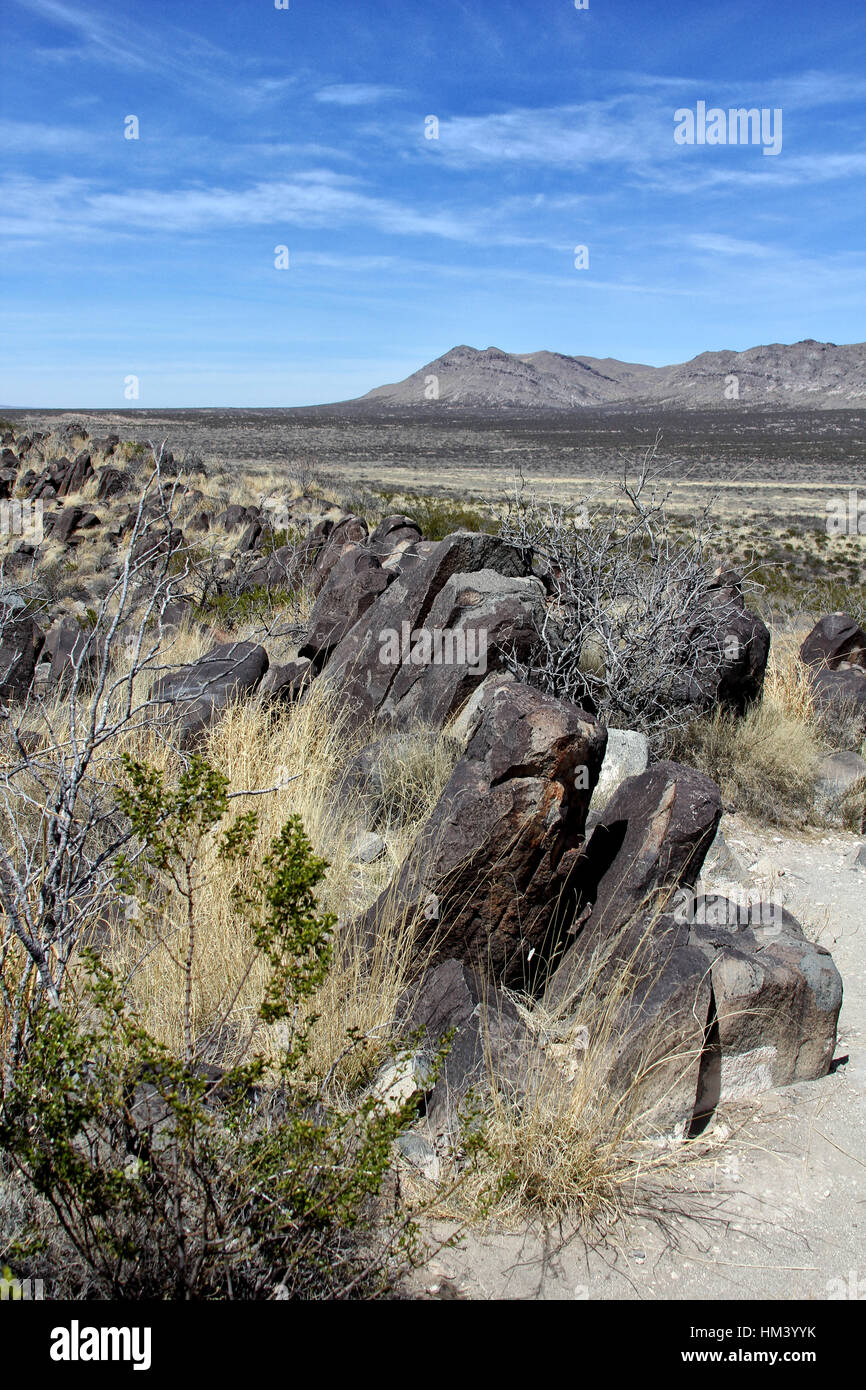 Certains des 21 000 pétroglyphes aux Trois Rivières Site de pétroglyphes dans le Nouveau Mexique datant entre 900 et 1400 AD Banque D'Images