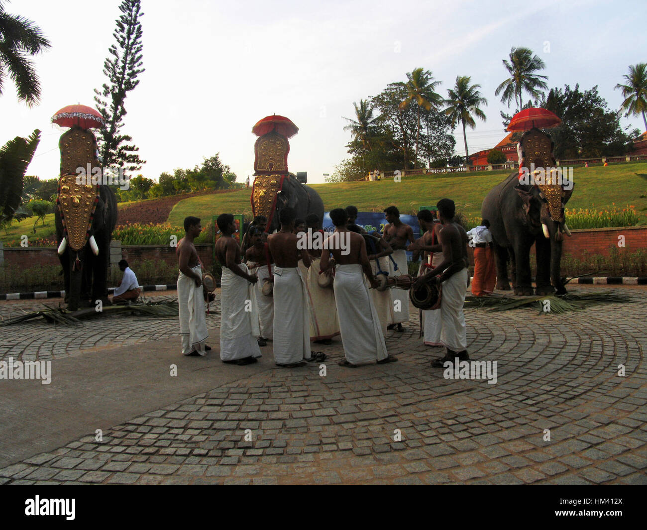 Les éléphants décorés pour onam festival. Trivandrum, Kerala, Inde Banque D'Images