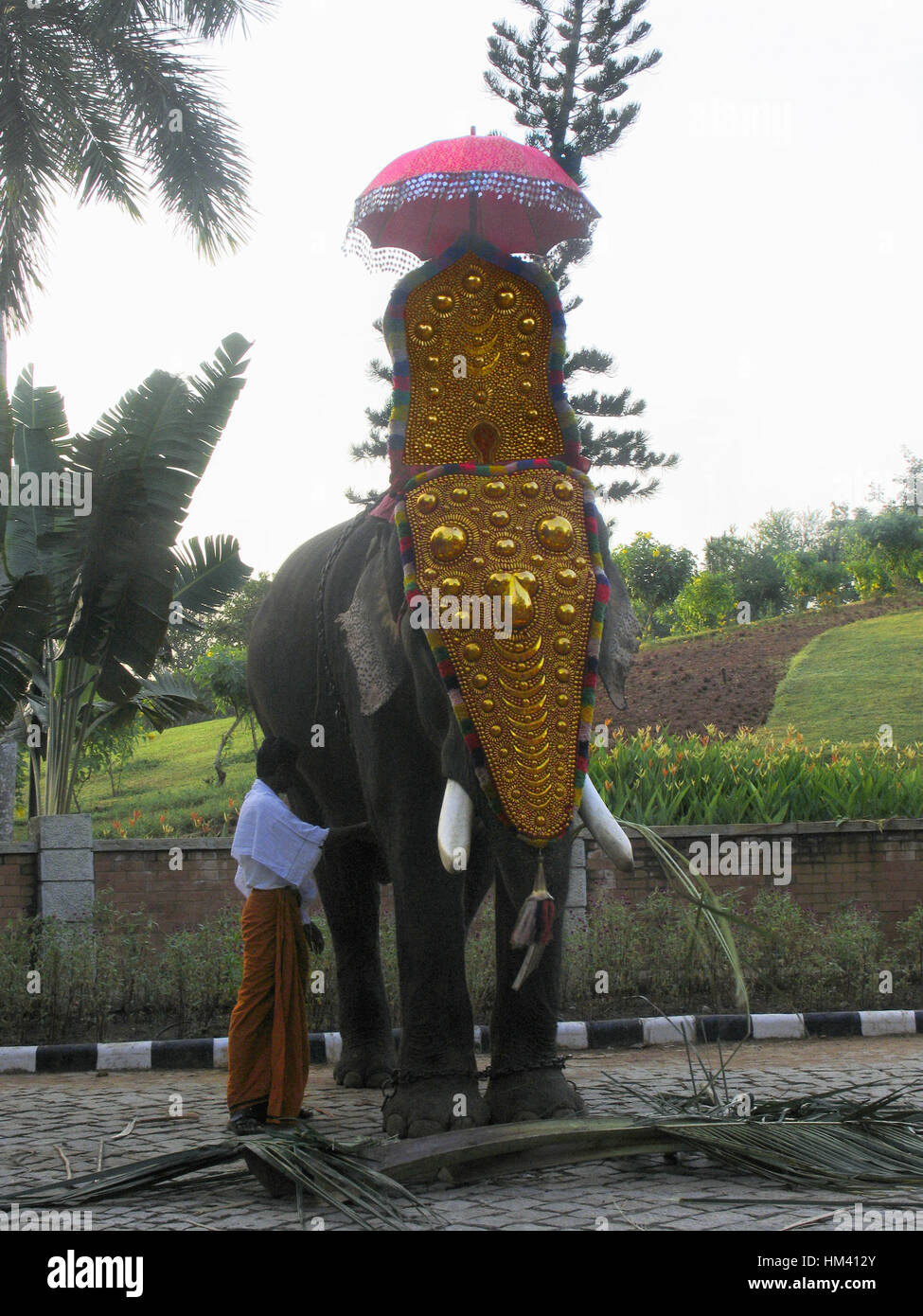 Décoré pour l'éléphant d'Onam festival. Trivandrum, Kerala, Inde Banque D'Images
