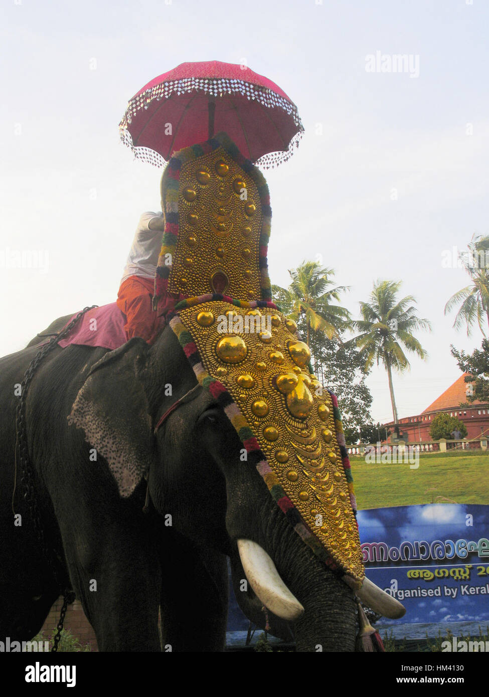 Décoré pour l'éléphant d'Onam festival. Trivandrum, Kerala, Inde Banque D'Images