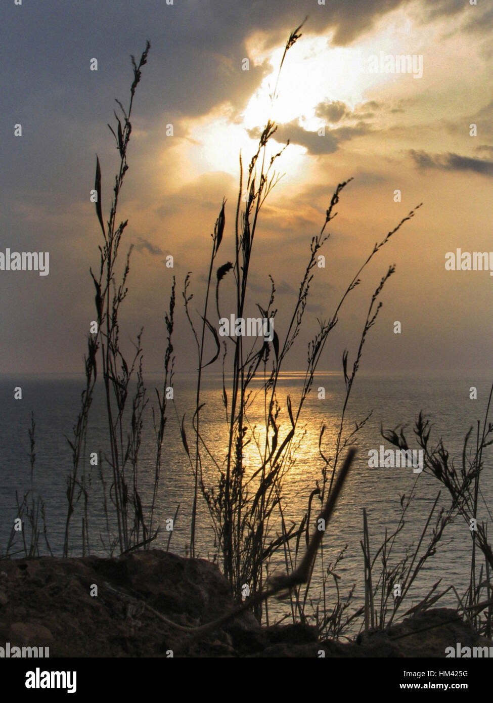 Scène de coucher les rives d'un fleuve. Banque D'Images