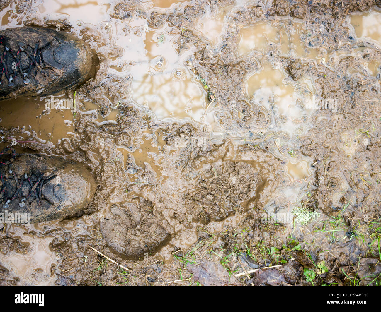 Une paire de bottes de marche sur un chemin boueux. Banque D'Images
