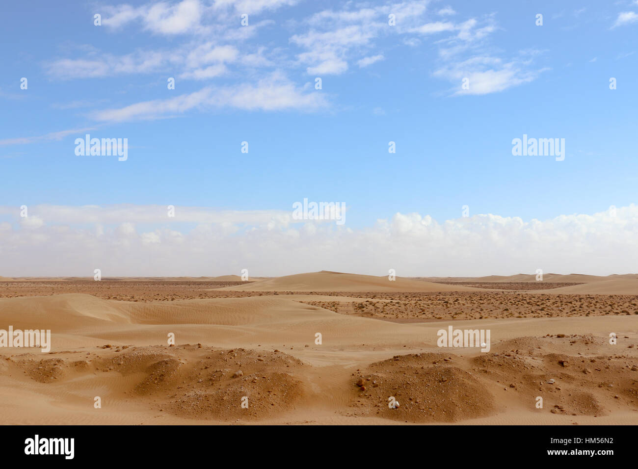 Dunes de sable, le Sahara Occidental Banque D'Images