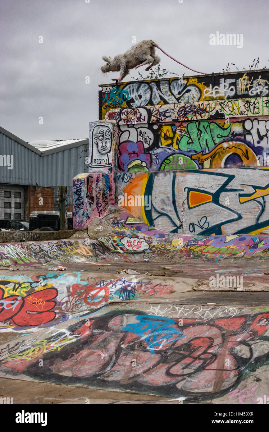 Street art dans un skate parc dans le triangle de la Baltique, Liverpool Banque D'Images