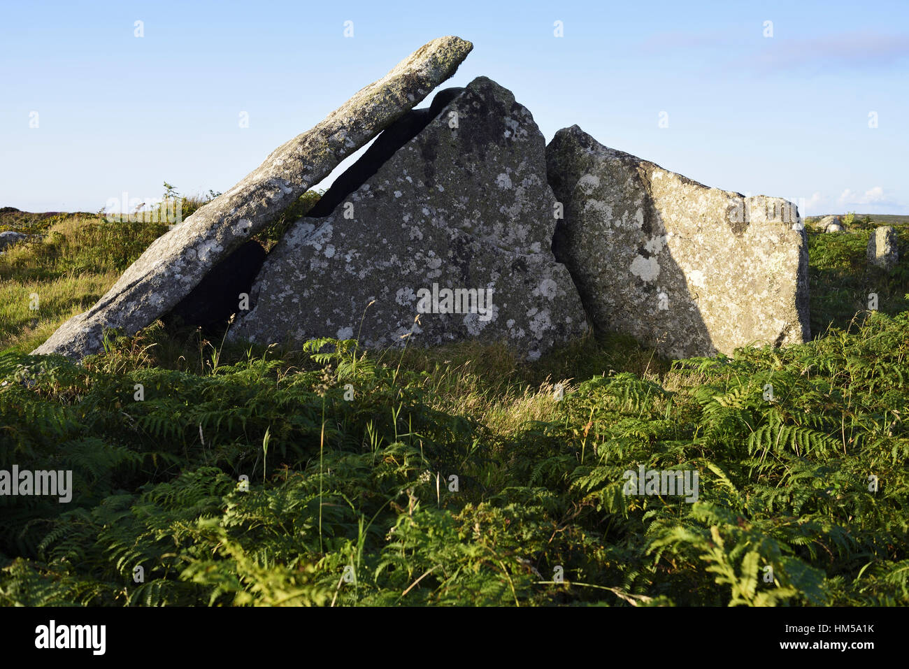 Close-up de Zennor Quoit, Penwith, Cornwall, montrant l'armée déchue capstone. Près de la south west coast path. Banque D'Images