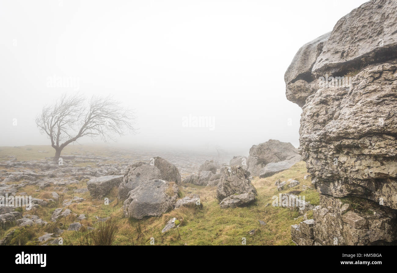 Sur l'hiver et Ingleborough autour, l'un des fameux "trois pics" dans le Nord du Yorkshire, près de Ingleton dans la merveilleuse région du Yorkshire Dales Banque D'Images
