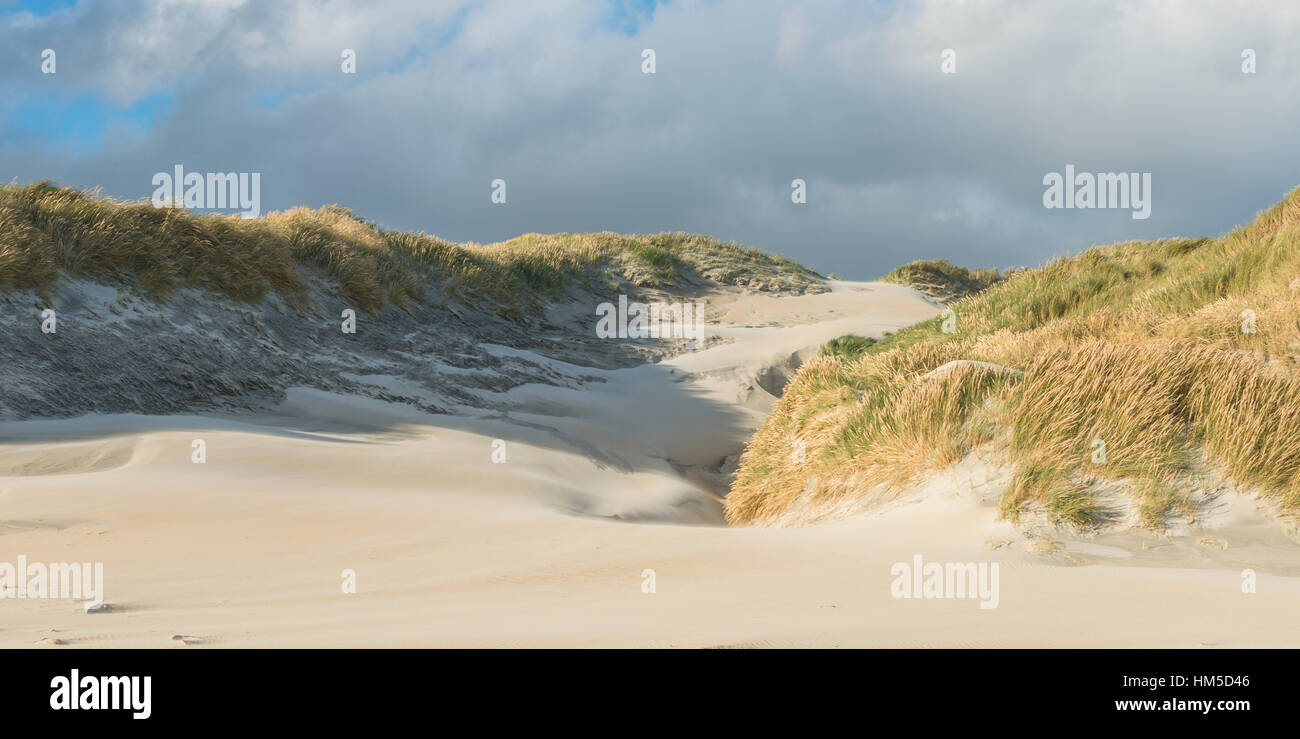 Dunes, Phlébotome Bay, Dunedin, Otago Peninsula, Southland, Nouvelle-Zélande Banque D'Images