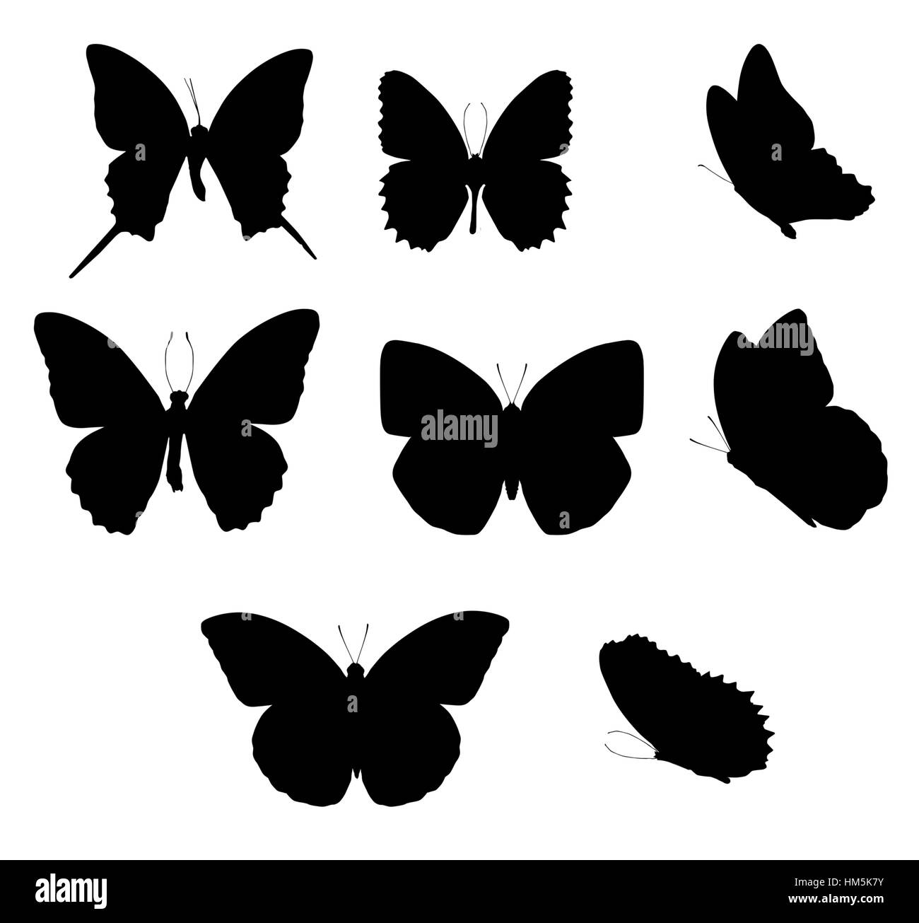 Silhouette de papillon Banque D'Images