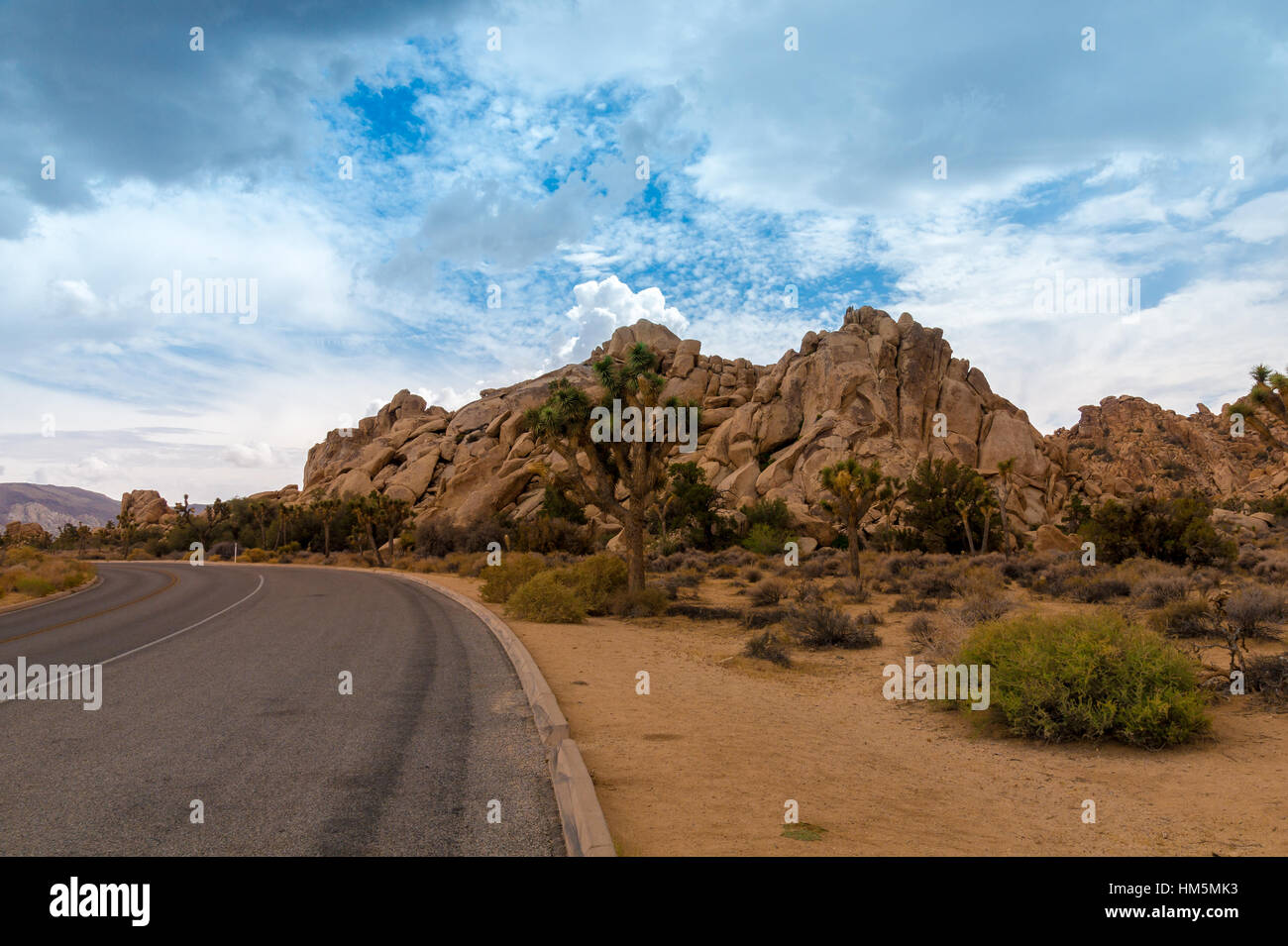 Route pavée et de spectaculaires formations rocheuses dans le parc national Joshua Tree, California, USA Banque D'Images