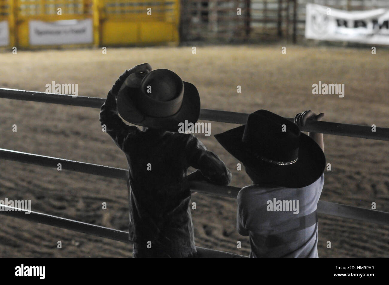 Auditoire de Rodeo Banque D'Images