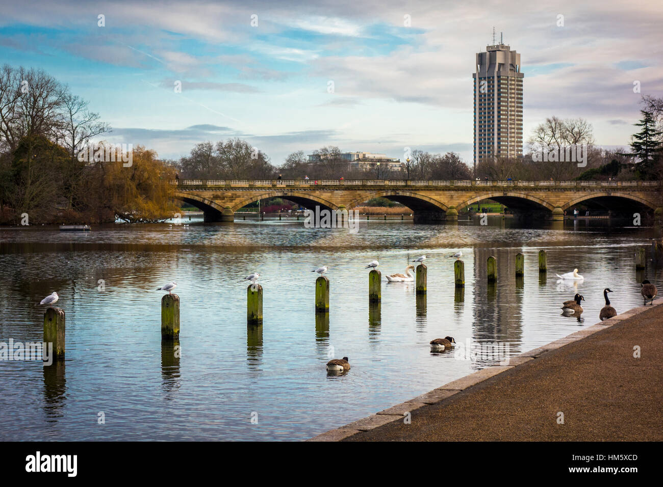 L'eau le long des jardins de Kensington avec Basil Spence's Tower (Hyde Park Barracks) dans l'arrière-plan, London, UK Banque D'Images