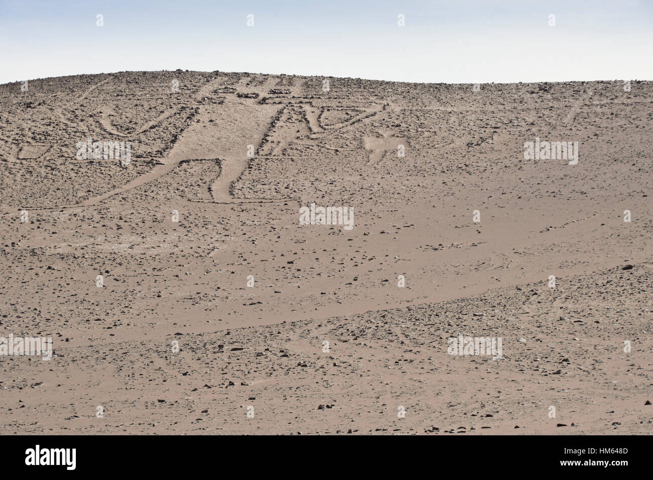 El Gigante de Atacama géoglyphe sur le Cerro de l'Unita, Désert d'Atacama, Norte Grande, Chili Banque D'Images
