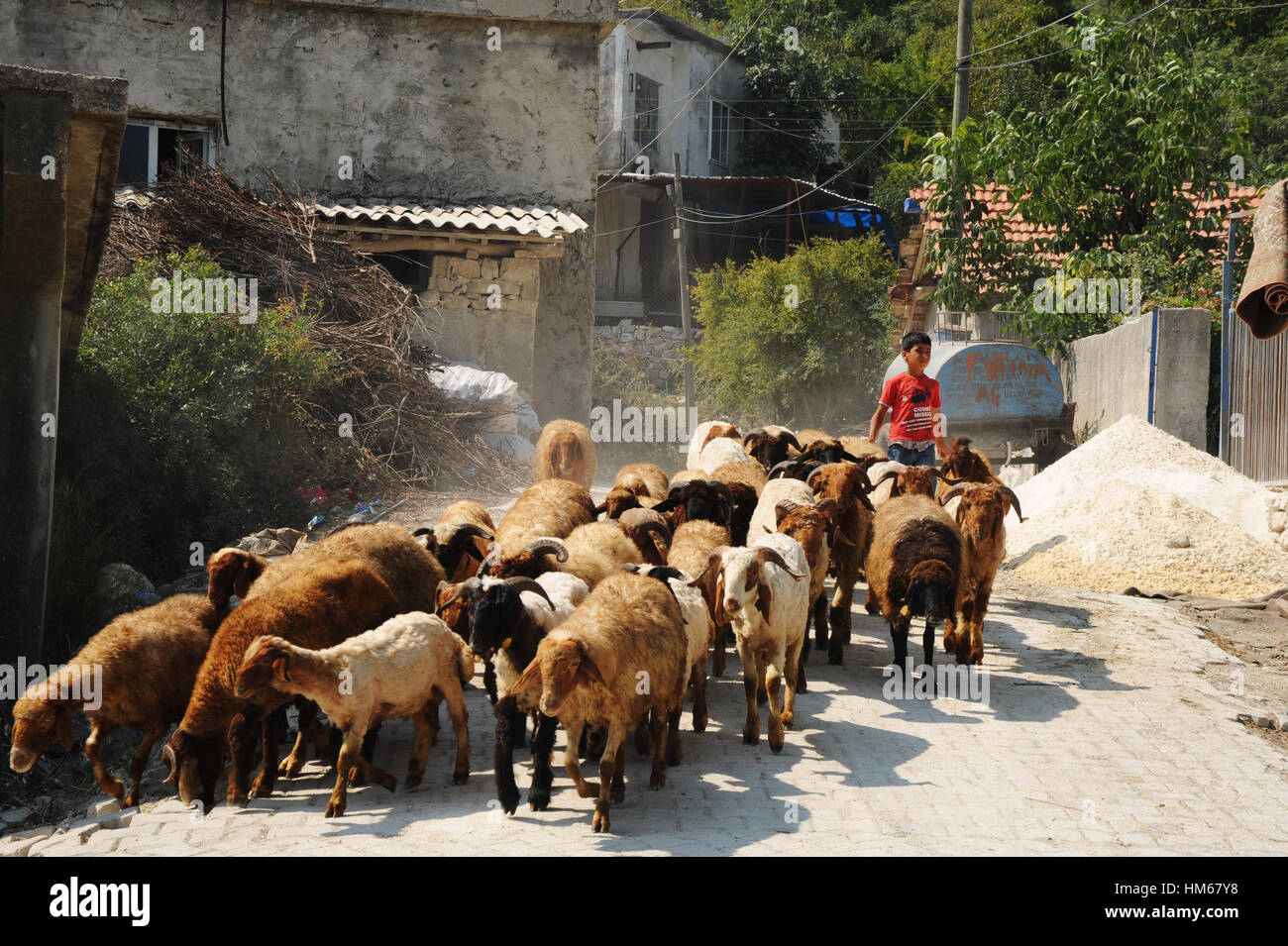 Les Syriens réfugiés en Turquie. - 16/08/2011 - Turquie / Istanbul / Guvecci - Guvecci's village. - Chris Huby / Le Pictorium Banque D'Images