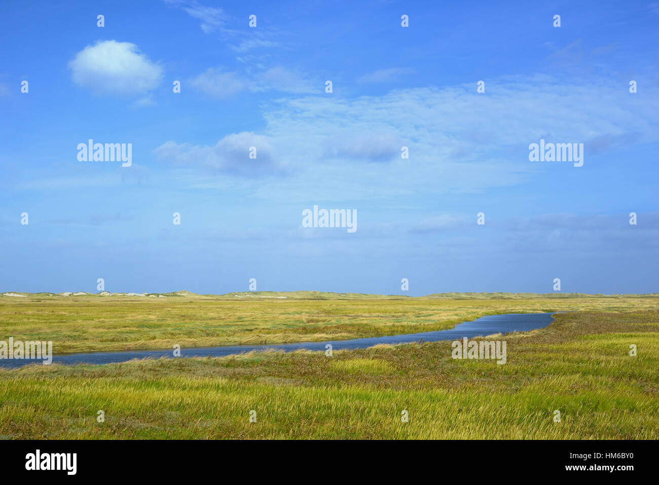 Les marais salés avec les inondations, marées, Schleswig-Holstein mer des Wadden Parc National, Frise du Nord, Schleswig-Holstein Banque D'Images