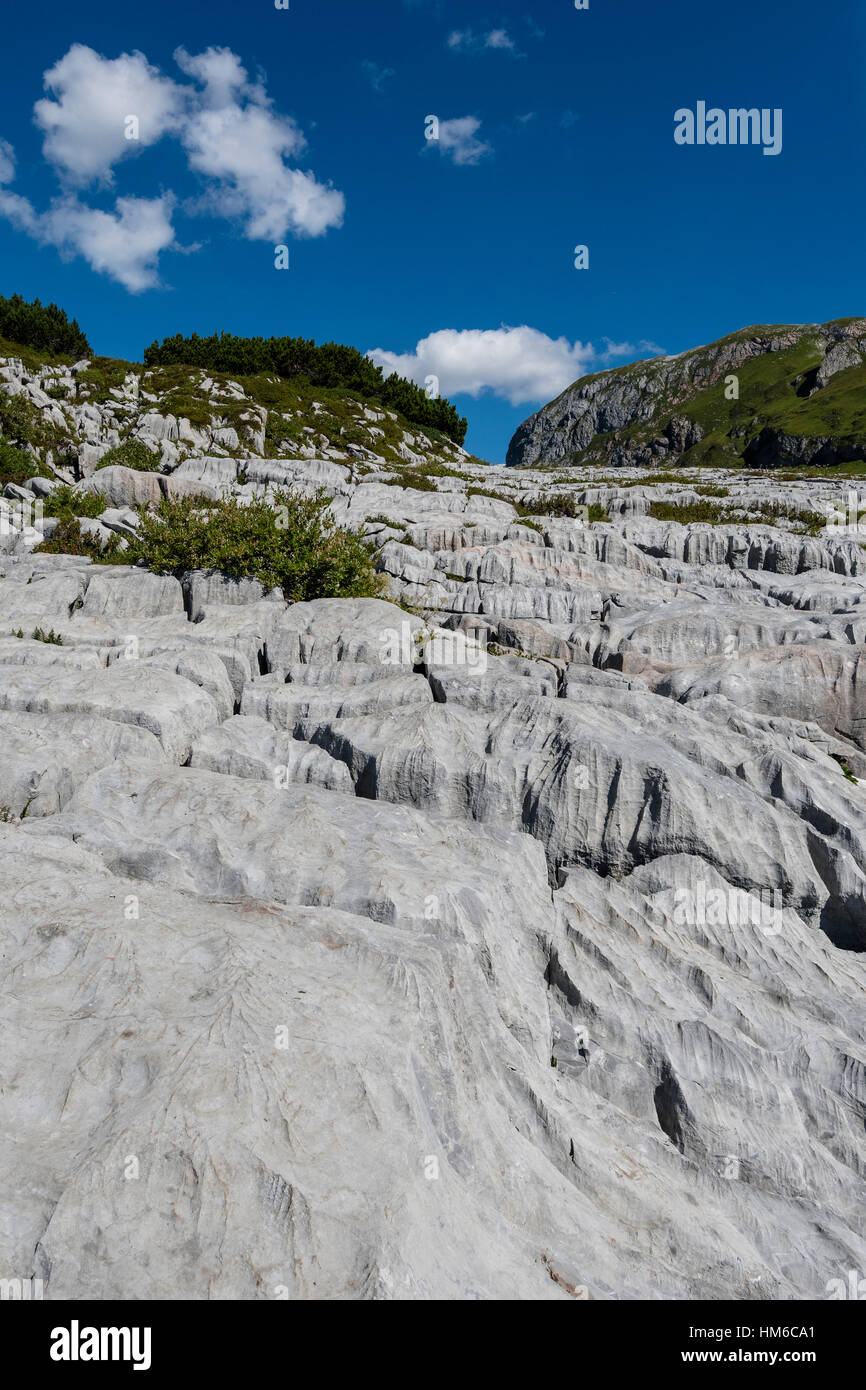 Les roches altérées, paysage karstique, Steinernes Meer, Lechquellen Montagnes, Vorarlberg, Autriche Banque D'Images