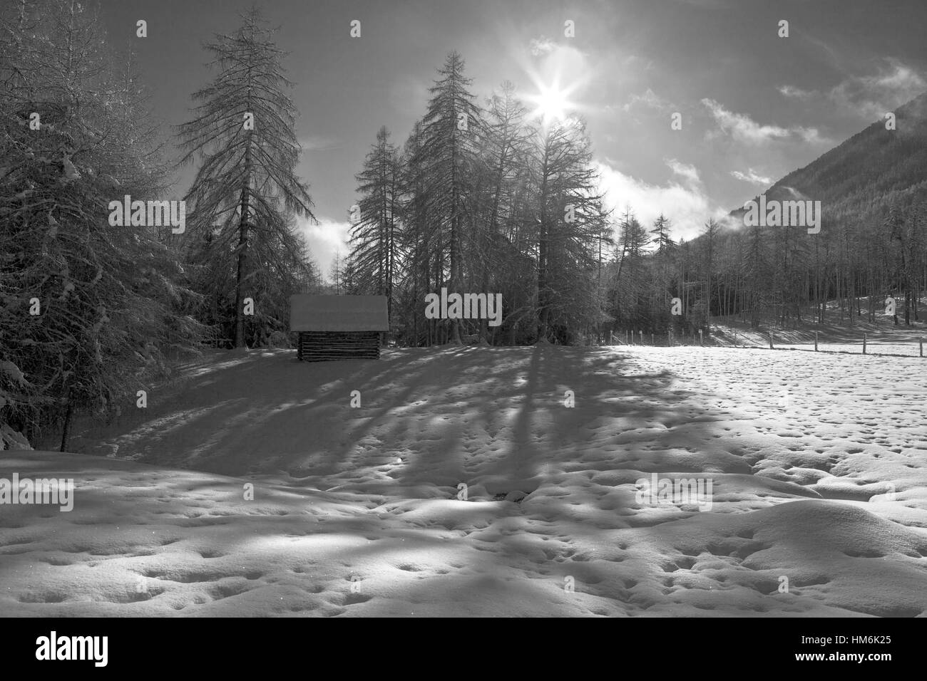 Autriche, Tyrol, Obsteig (village), paysage d'hiver à Holzleiten Banque D'Images