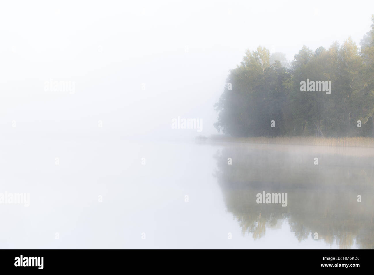 4-Saisons Automne,automne,background,calme,nuageux,distance,Einsamkeit Entfernung,brouillard,brouillard,lac,lac,paysage,de,la solitude,Melancholie,mélancolie,brouillard,miroir,misty,matin,mystic mystique,Mystik,nature,naturel,calme,paysage,réflexion,,scenic,Septembe Banque D'Images