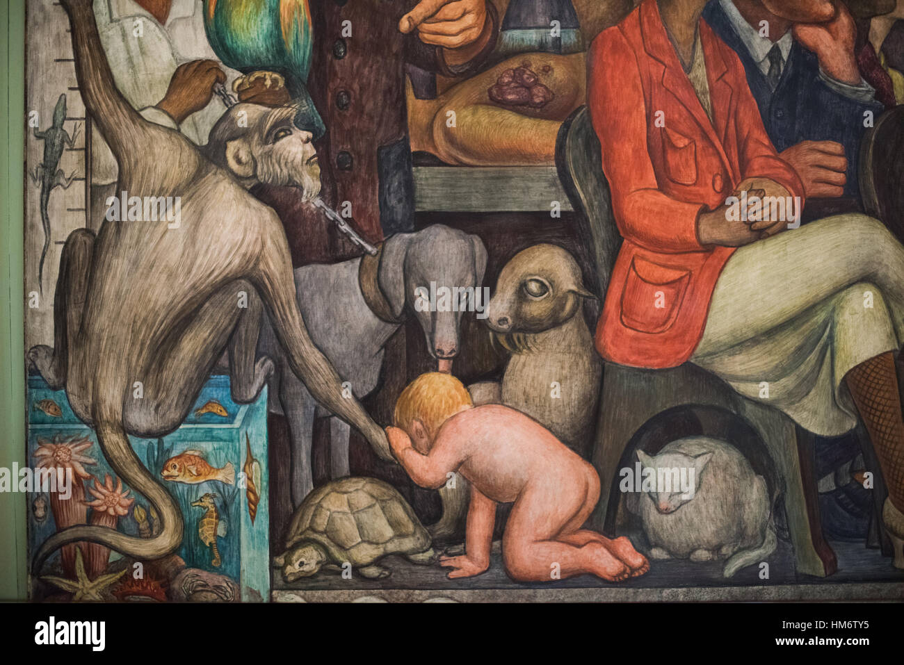 Diego Rivera Man at the Crossroads Murale Palacio de Bellas Artes Mexico // MEXICO CITY, MEXICO — Un détail de la fresque murale Man at the Crossroads de Diego Rivera (également connu sous le nom de Man Controller of the Universe), achevée entre 1934-35 au Palacio de Bellas Artes. Cette œuvre recrée et développe la murale controversée du Rockefeller Center de Rivera qui a été détruite en 1934 en raison de son contenu politique, y compris un portrait de Vladimir Lénine. La murale incorpore des éléments symboliques comprenant des animaux et des figures humaines pour représenter les thèmes du progrès technologique, de la lutte sociale et du choi Banque D'Images