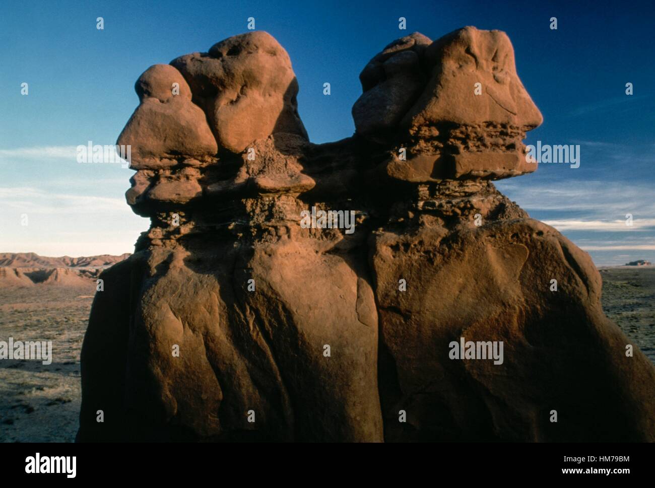 Gobelin ou hoodoo, grès, Pinnacle Goblin Valley State Park, Utah, États-Unis d'Amérique. Banque D'Images