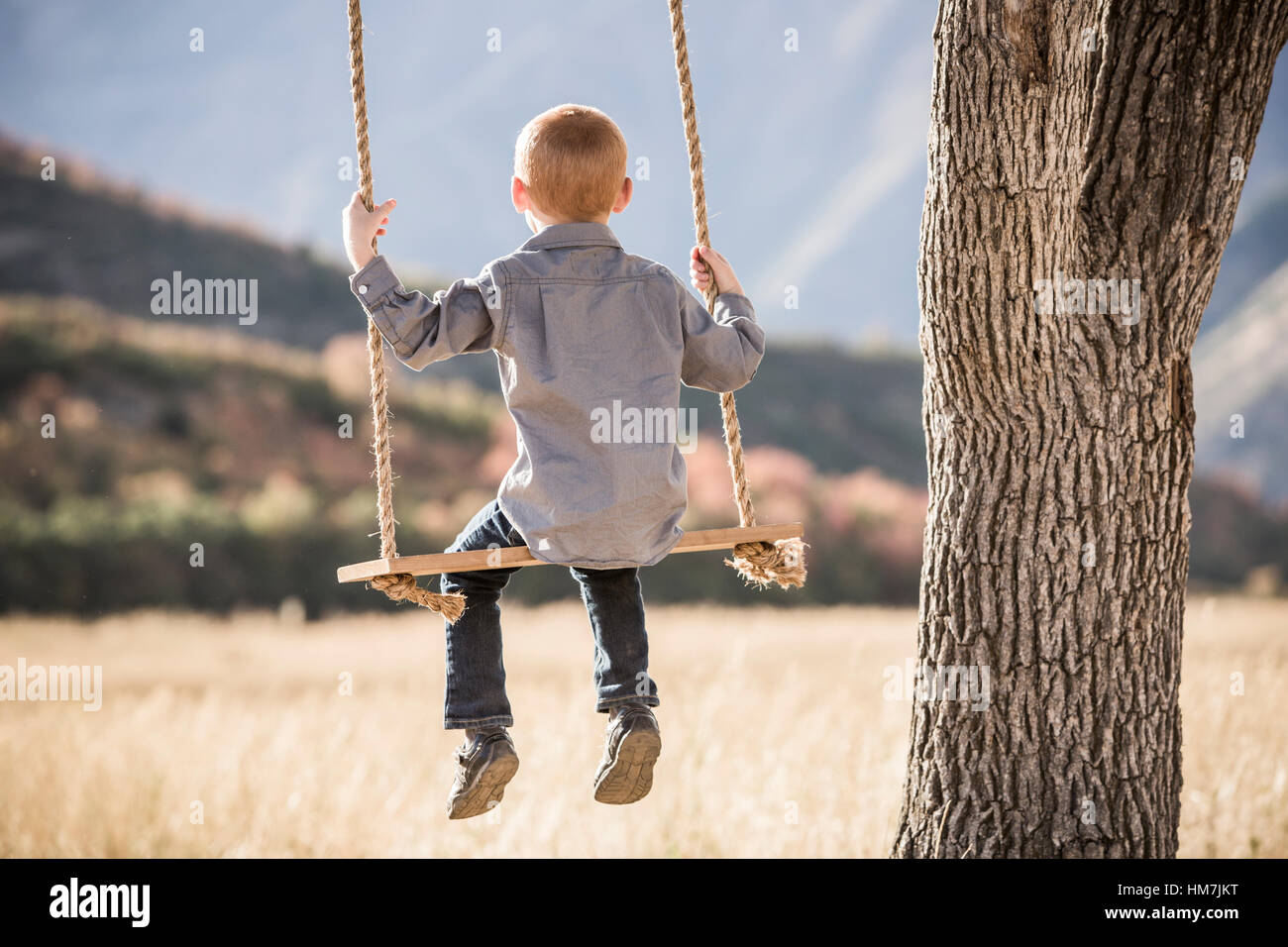 Boy (4-5) sitting on swing Banque D'Images