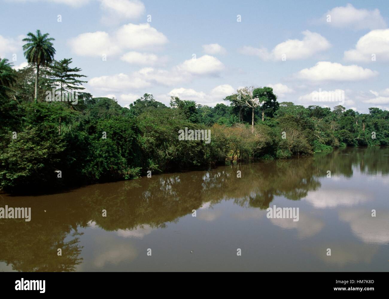 Le fleuve Bafing près de Biankouma, Côte d'Ivoire. Banque D'Images