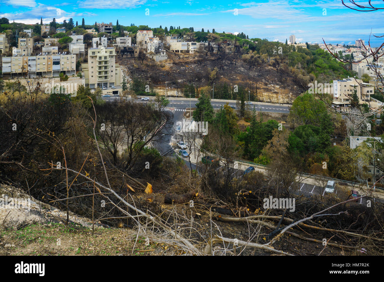 Haïfa, Israël - Décembre 08, 2016 : vue sur les résultats de l'incendie du 24 novembre, à brûler les arbres et les maisons, à Haïfa, Israël Banque D'Images