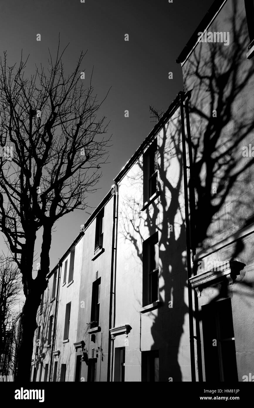 Le parc bordé d'arbres Street à Brighton avec d'ombre qui plane sur les maisons en bandes UK Photographie prise par Simon Dack Banque D'Images