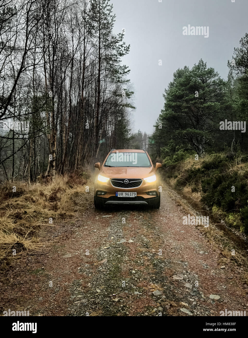 SUV Opel sur une étroite route forestière Banque D'Images