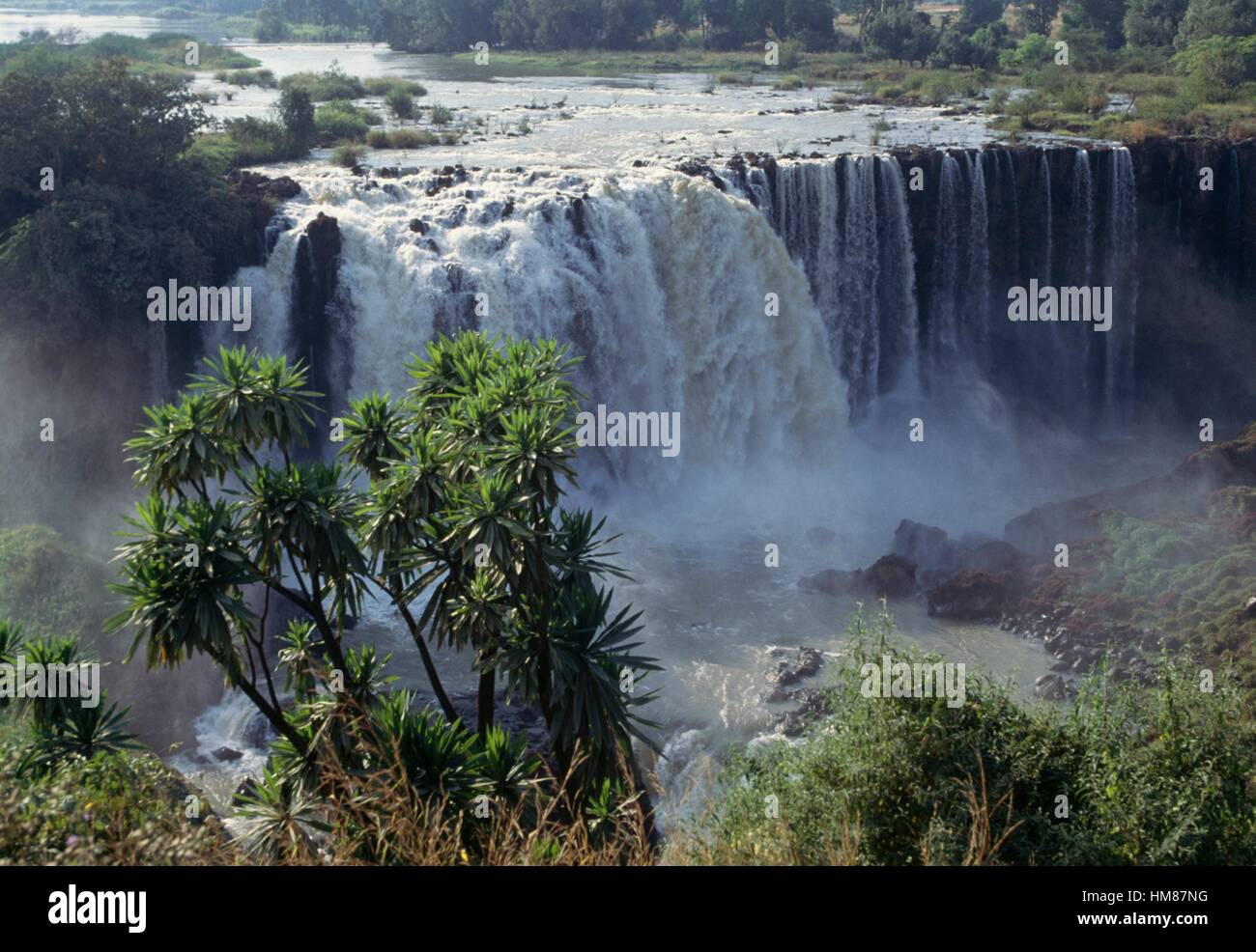 Chutes du Nil Bleu (Tis Issat, fumeurs) de l'eau près de Bahar Dar (Ethiopie). Banque D'Images