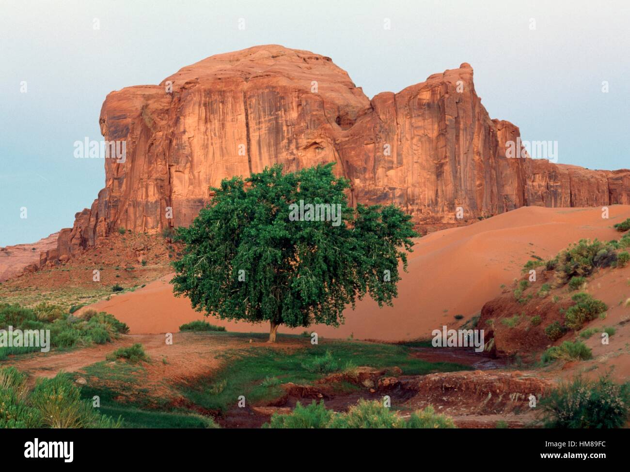 Dieu pluie Mesa à l'aube, sable, printemps, Monument Valley Navajo Tribal Park, Utah et Arizona, États-Unis d'Amérique. Banque D'Images