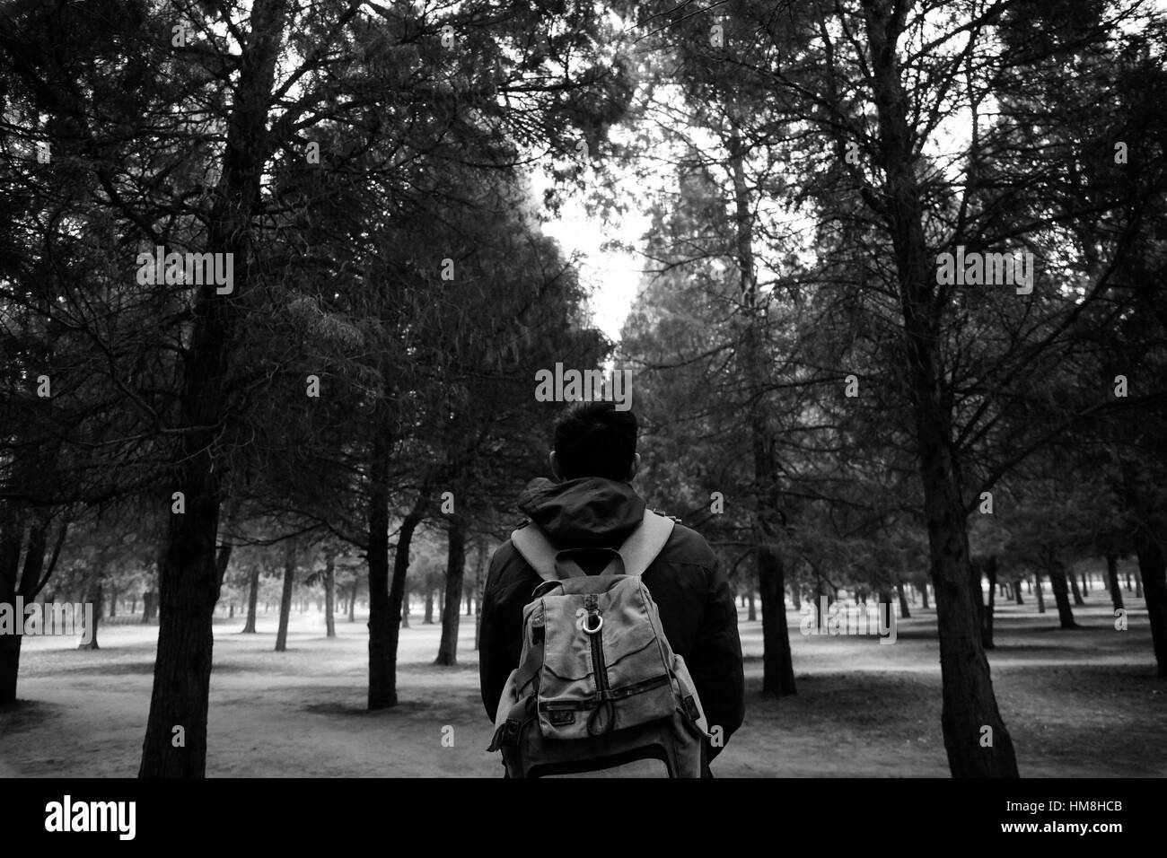 Jeune voyageur trekking dans les bois avec sac à dos le long du chemin (noir et blanc) Banque D'Images